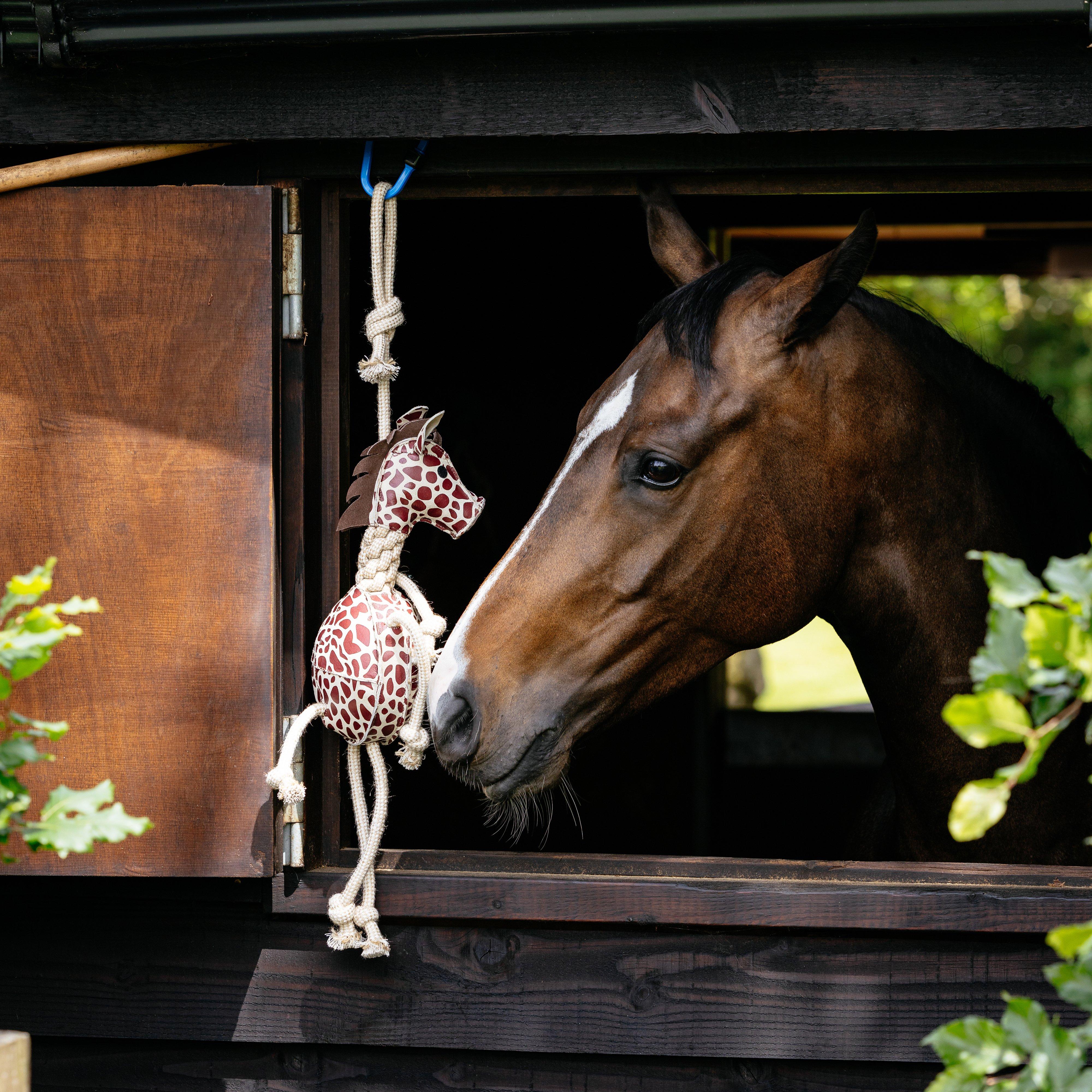 Horse Toy Giraffe
