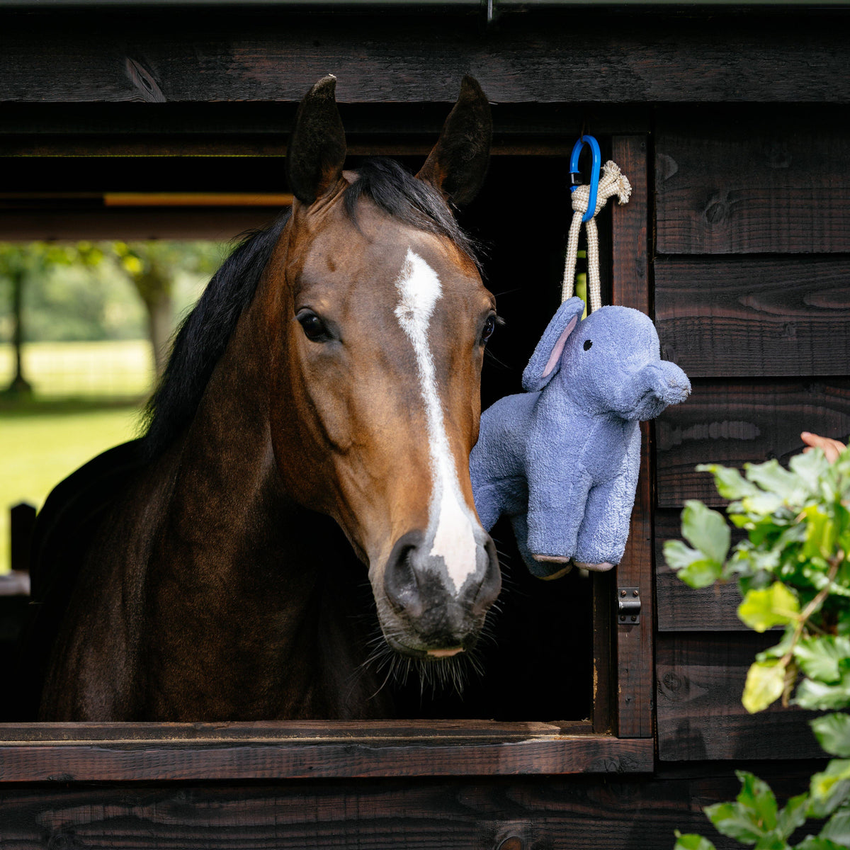 Plush Horse Toy Elephant