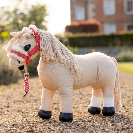 Harlow Toy Pony Headcollar & Leadrope