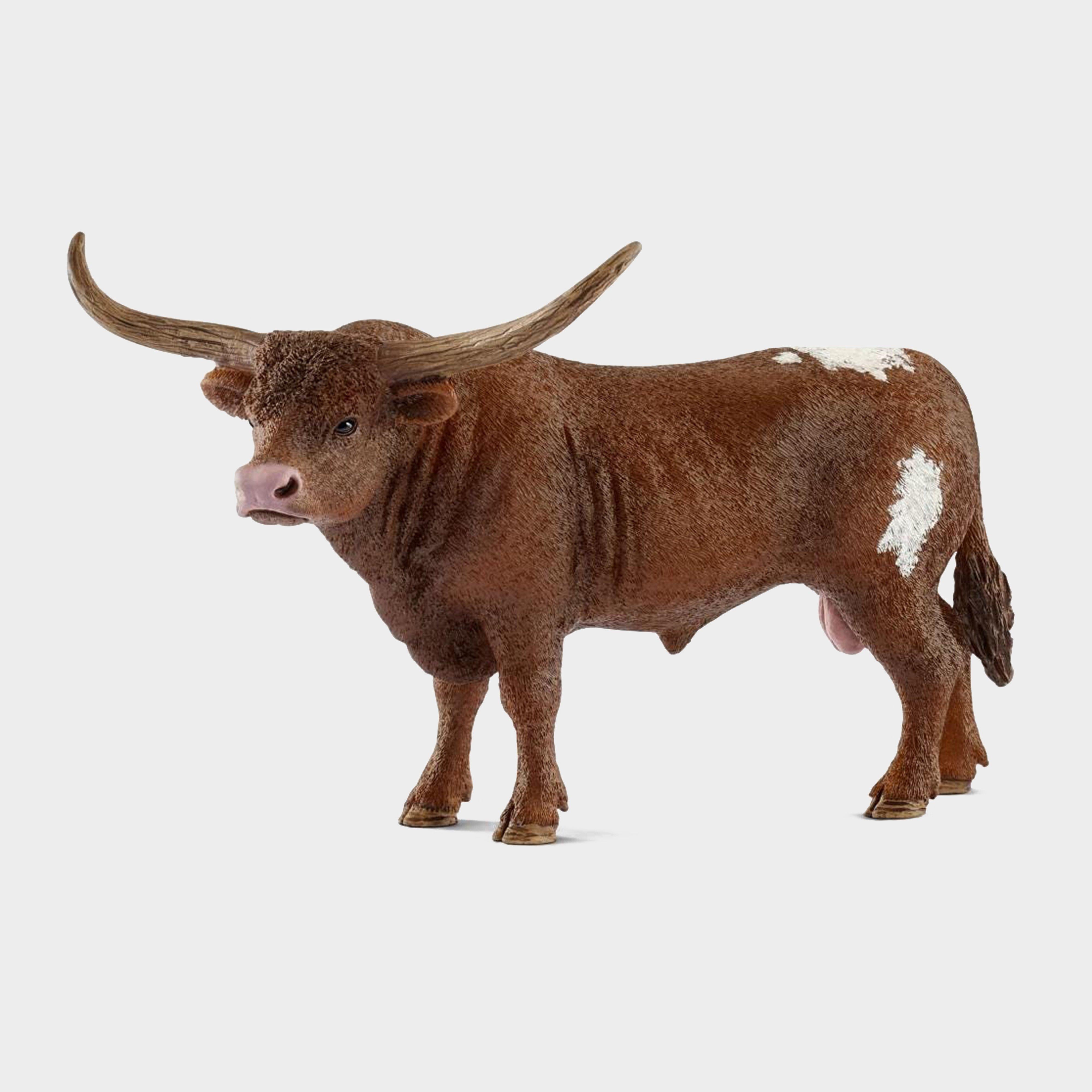 Texas Longhorn bull