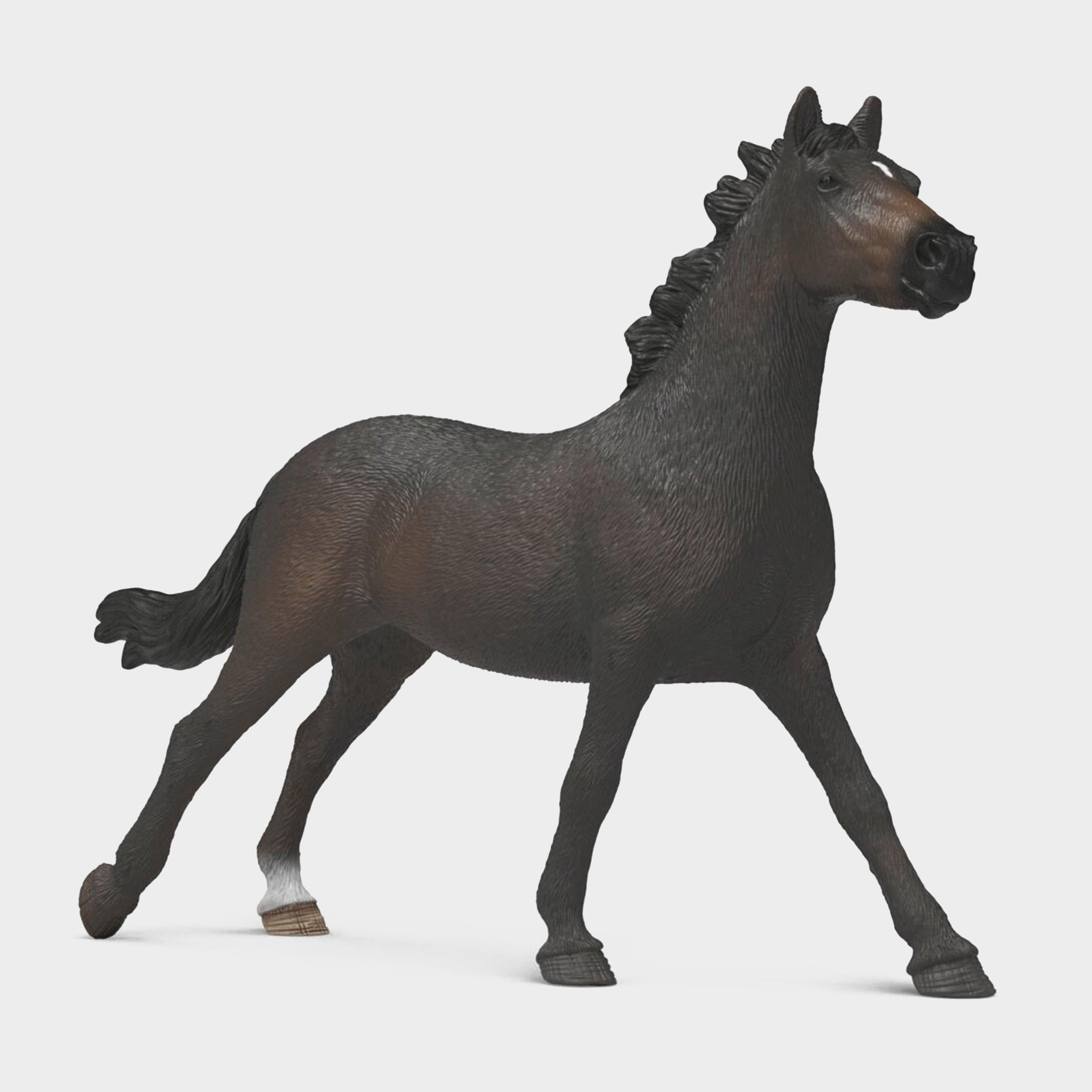 English Thoroughbreds