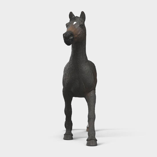 English Thoroughbreds