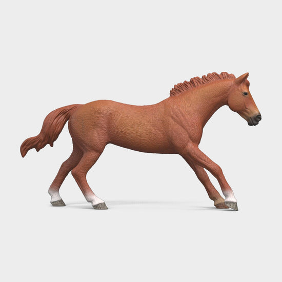 English Thoroughbred Stallion