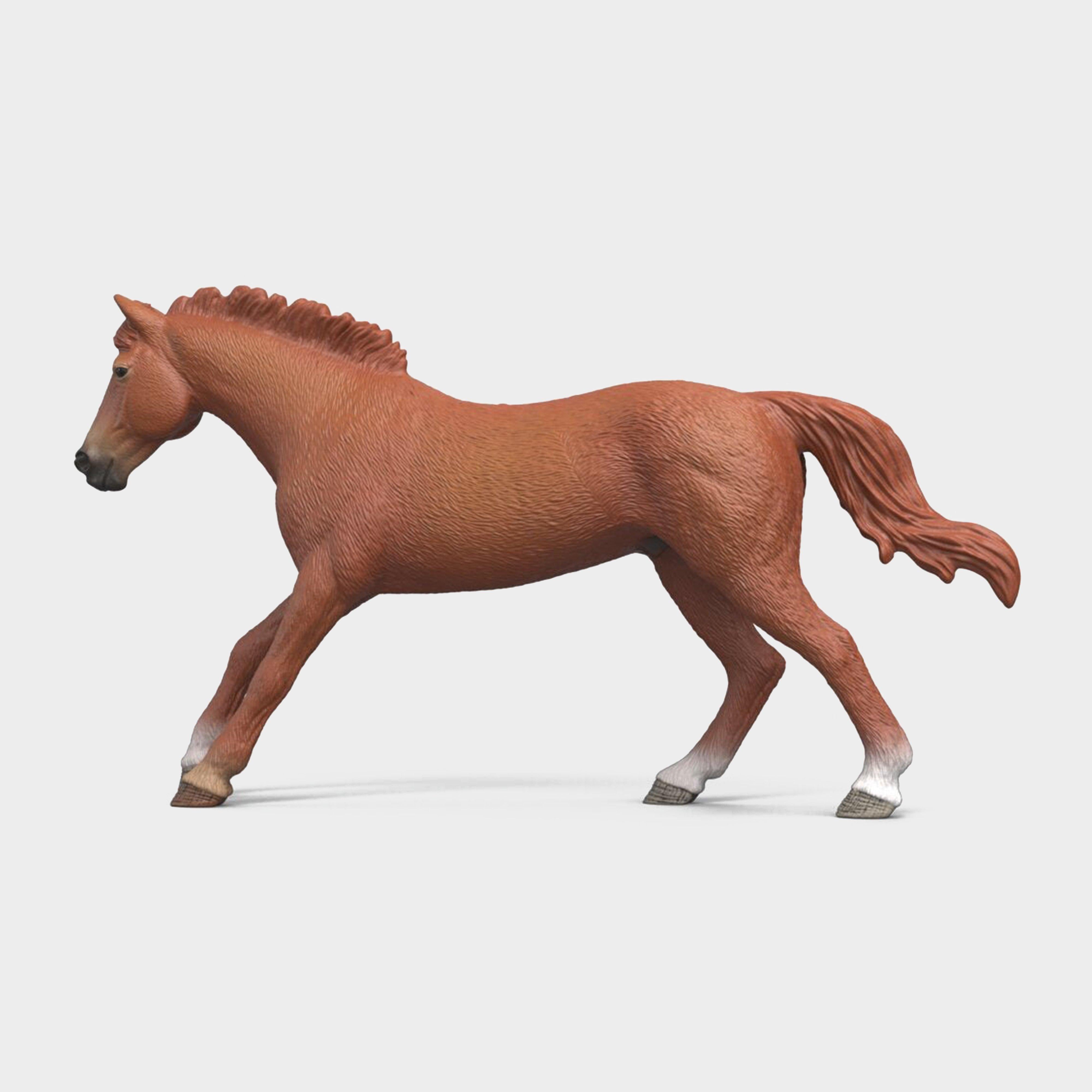 English Thoroughbred Stallion