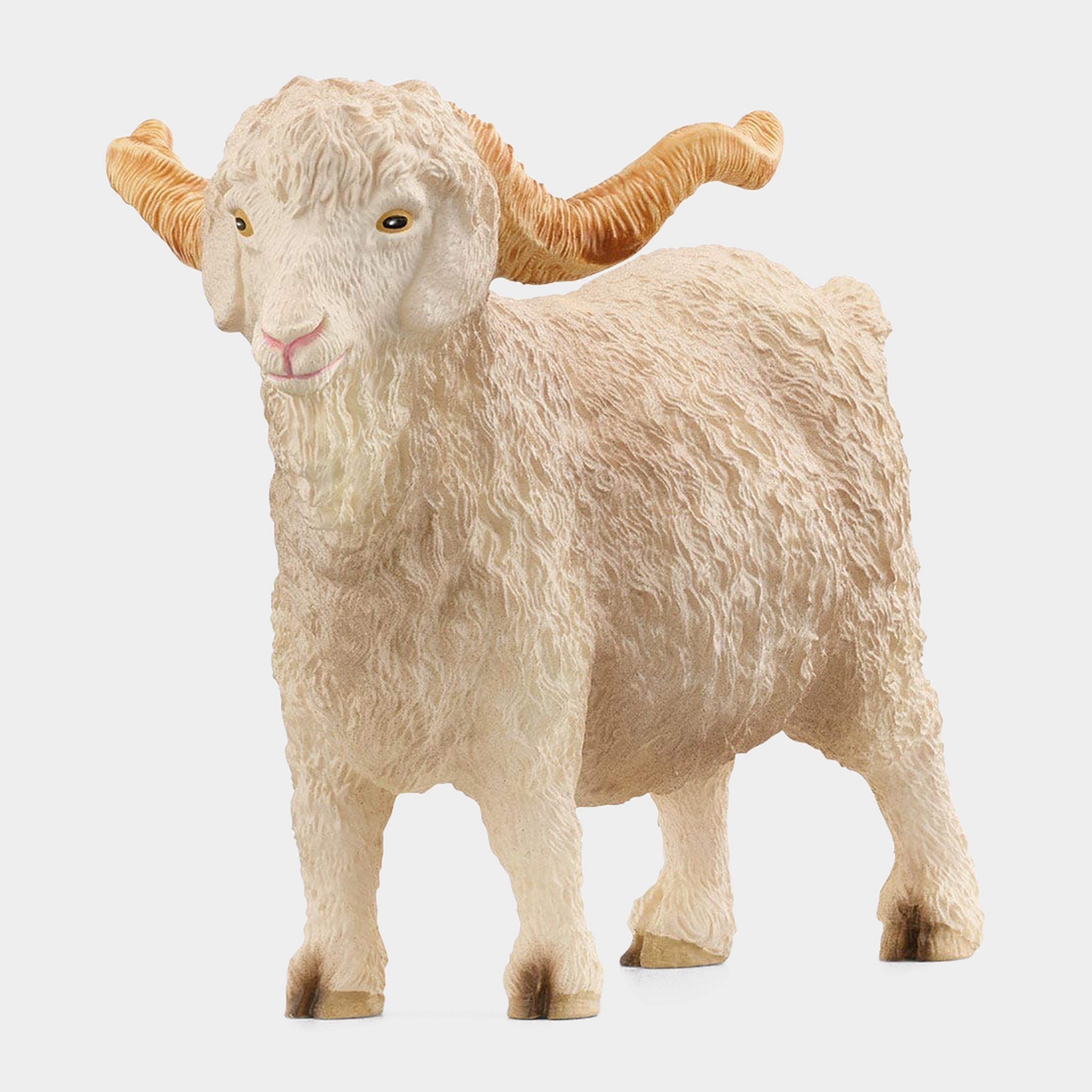 Angora Goat