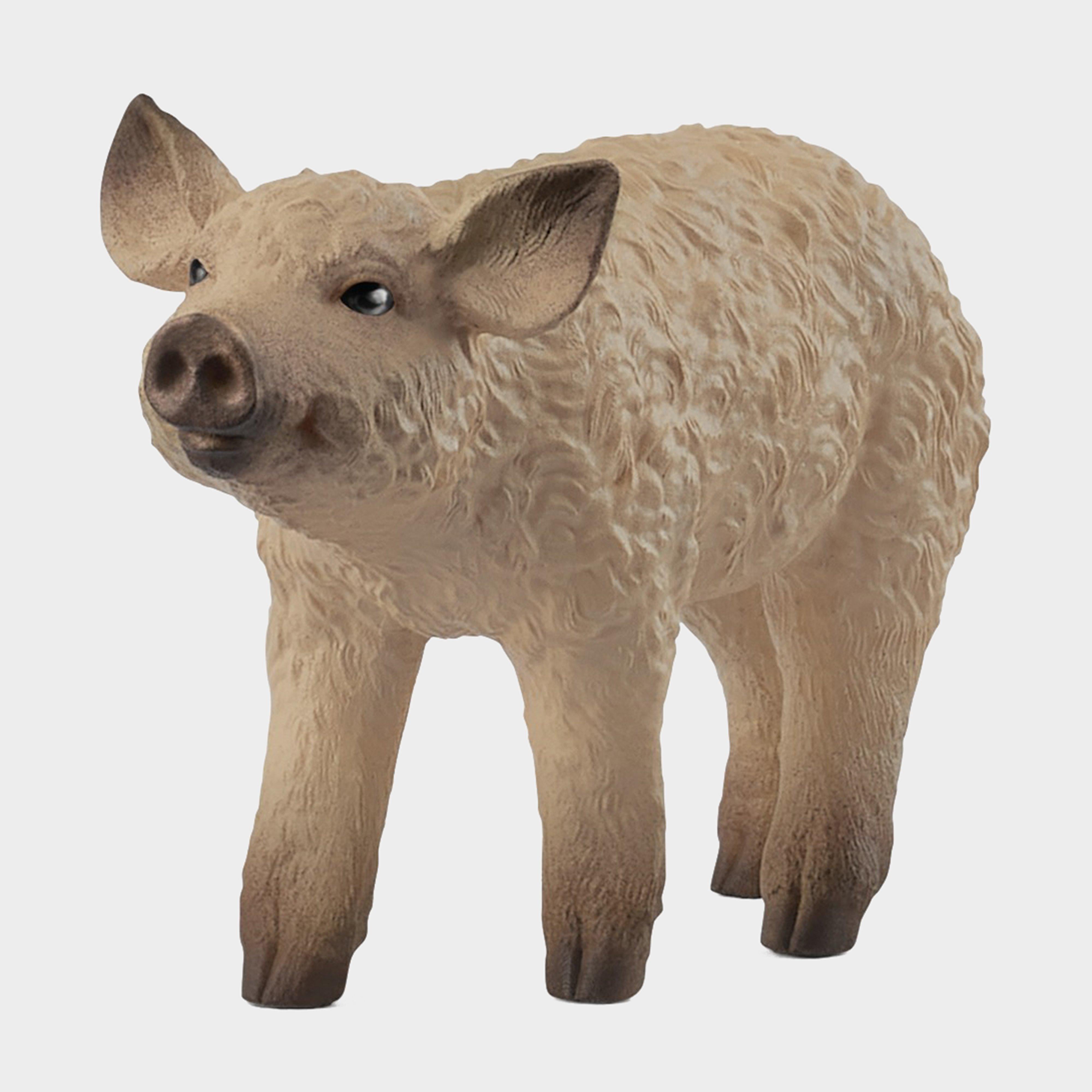 Mangalica Piglet