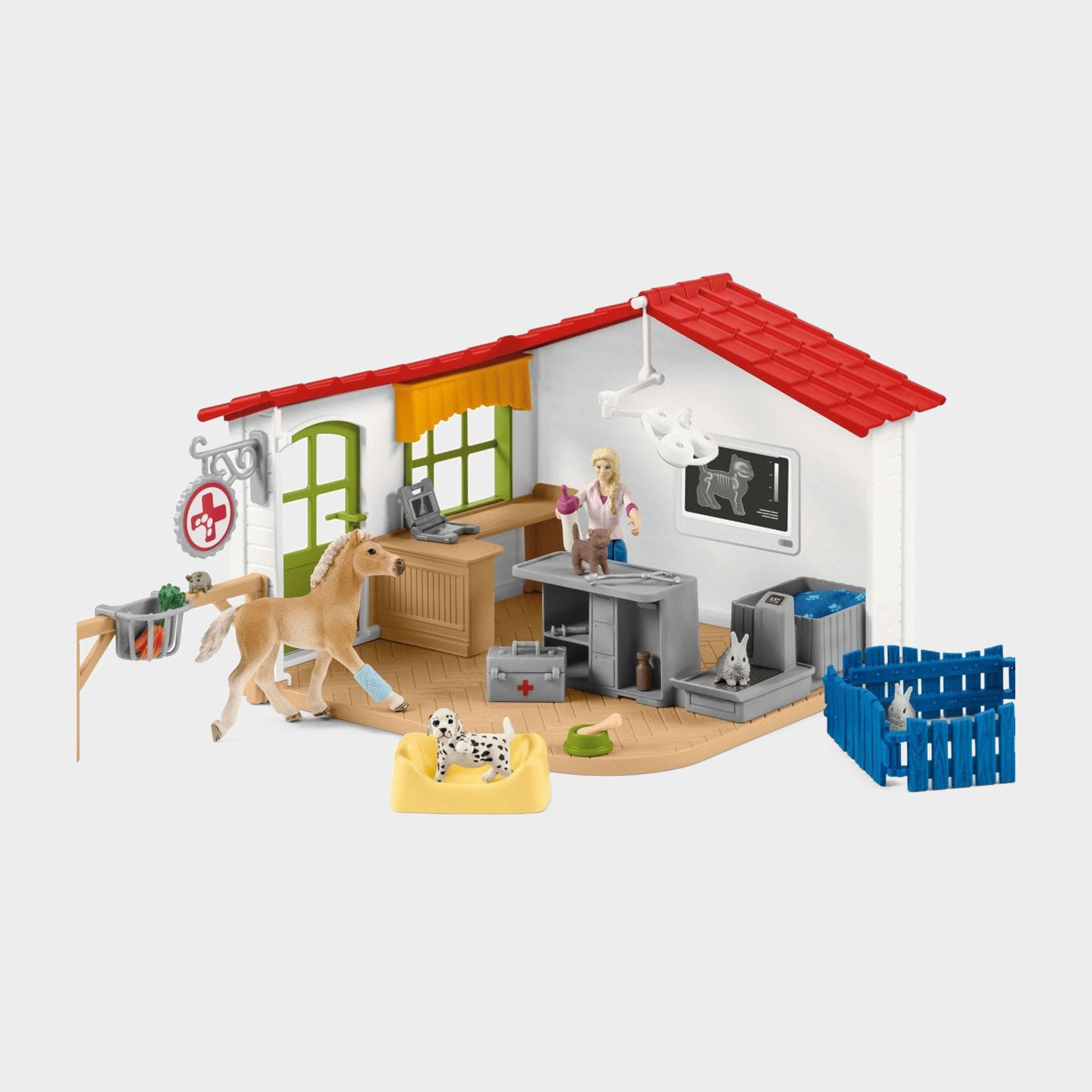 Veterinarian Practice With Pets