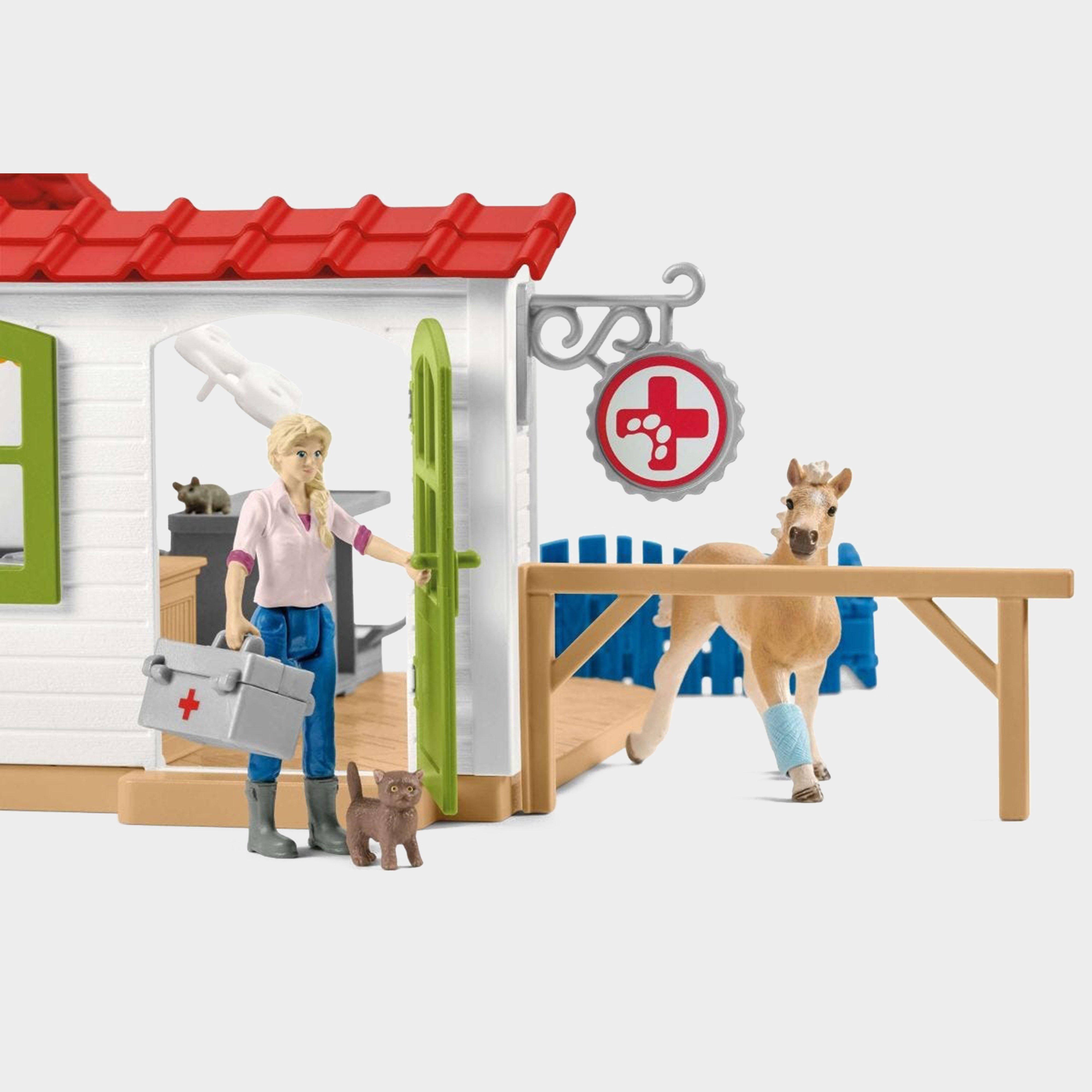 Veterinarian Practice With Pets