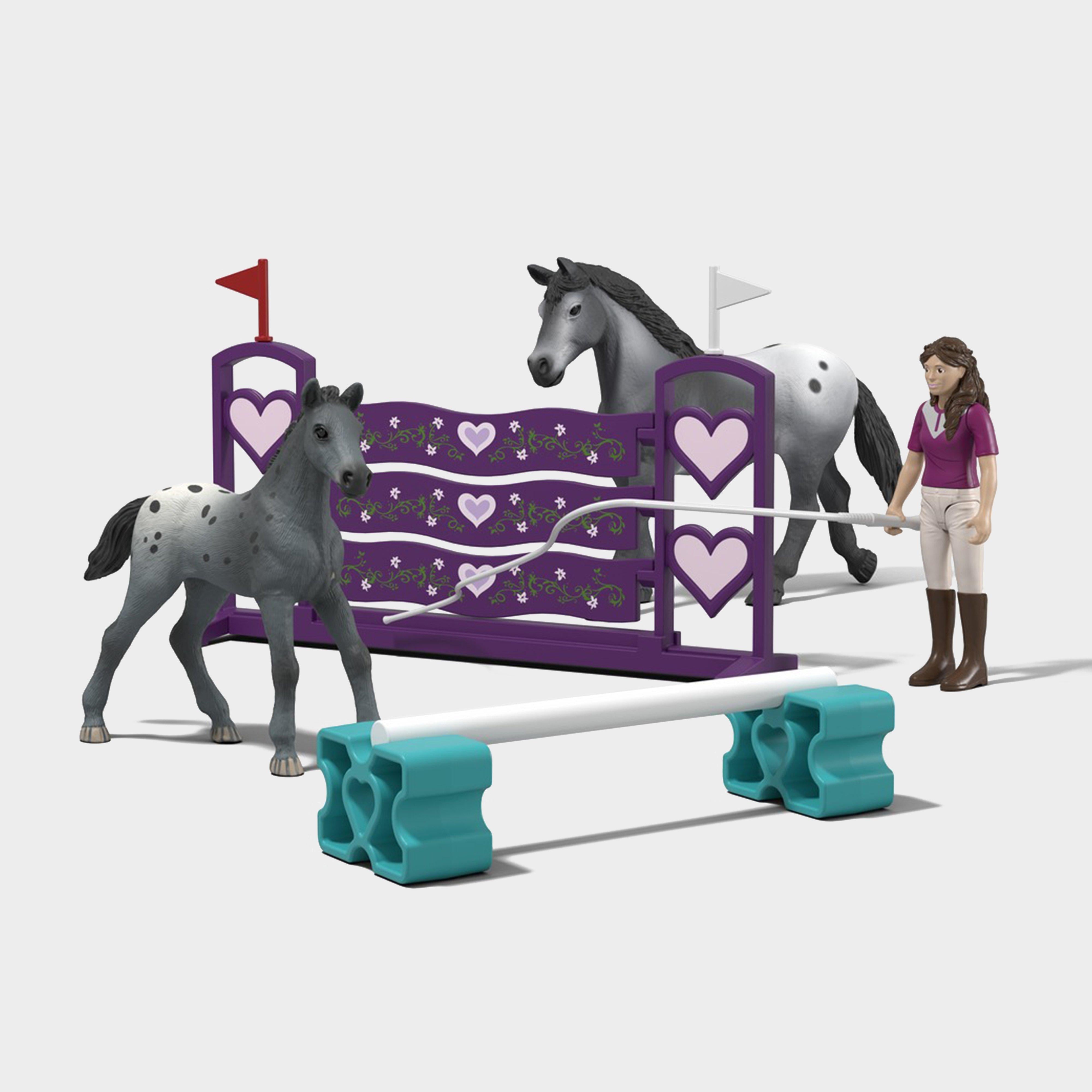 Lisa's Tournament Training Playset