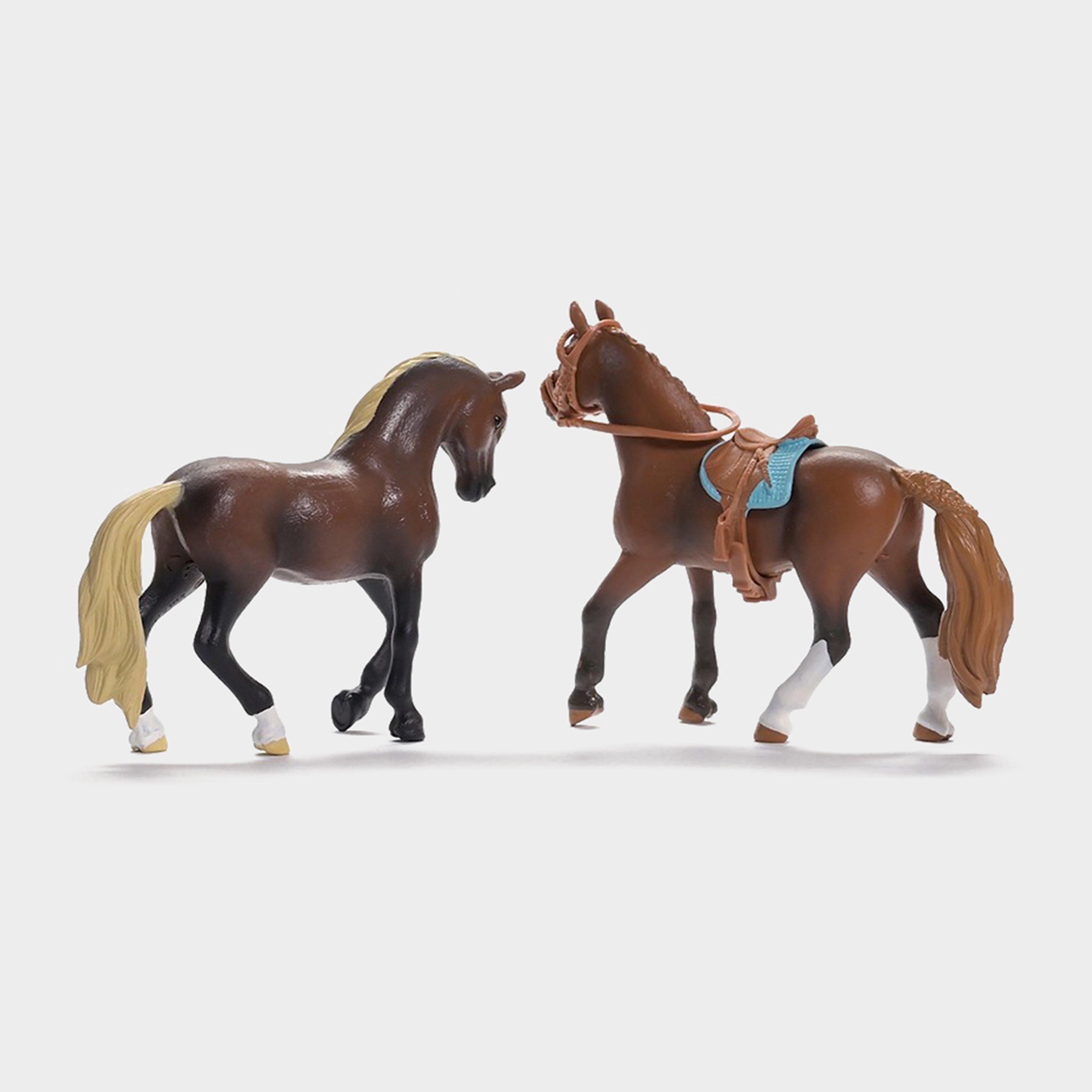 Horse Club Paso Peruano Starter Set