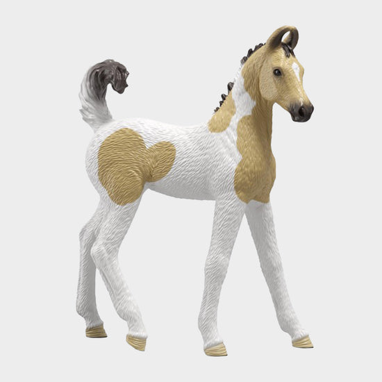 Sarah's First Aid Kit