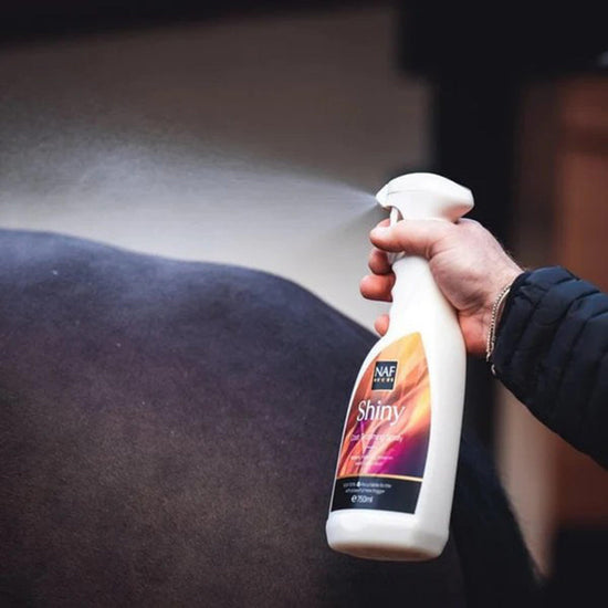 Shiny Spray 750ml