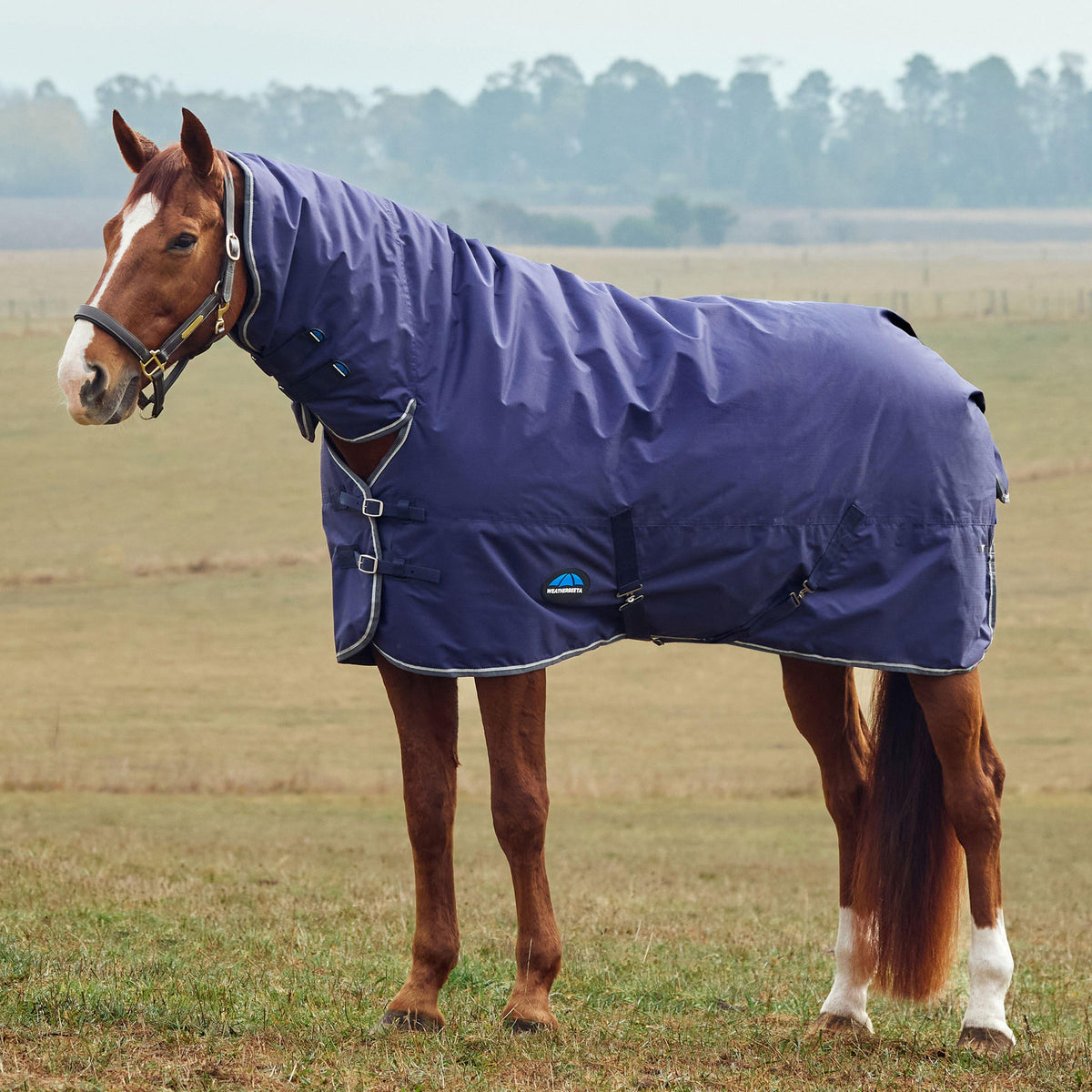 ComFiTec Tyro Turnout Combo Neck Rug 220G