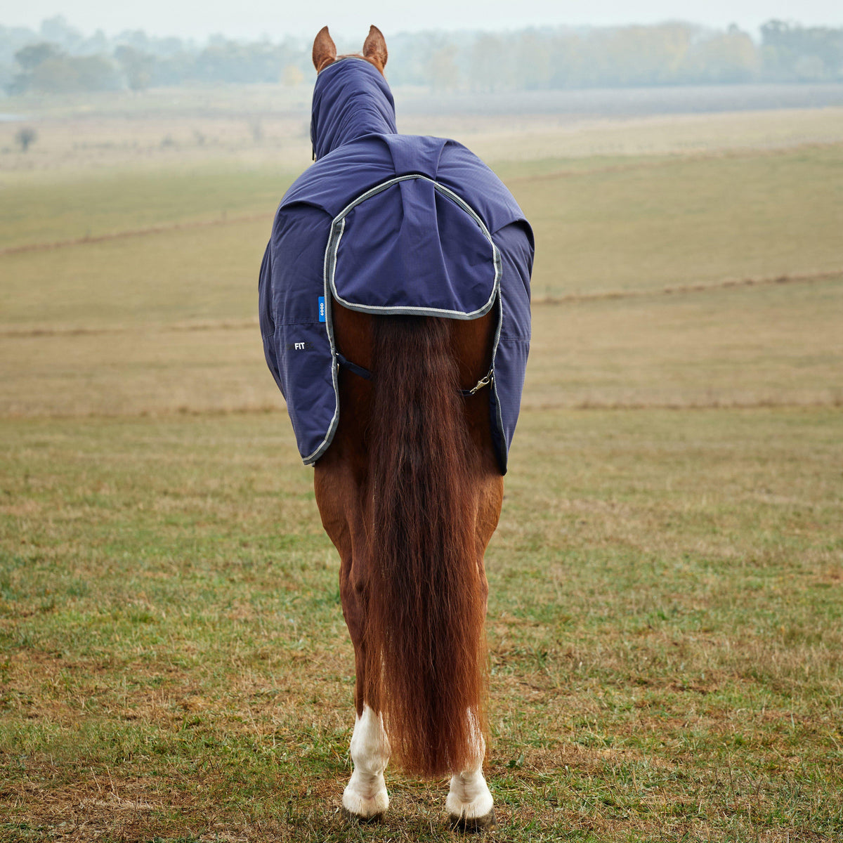 ComFiTec Tyro Turnout Combo Neck Rug 220G