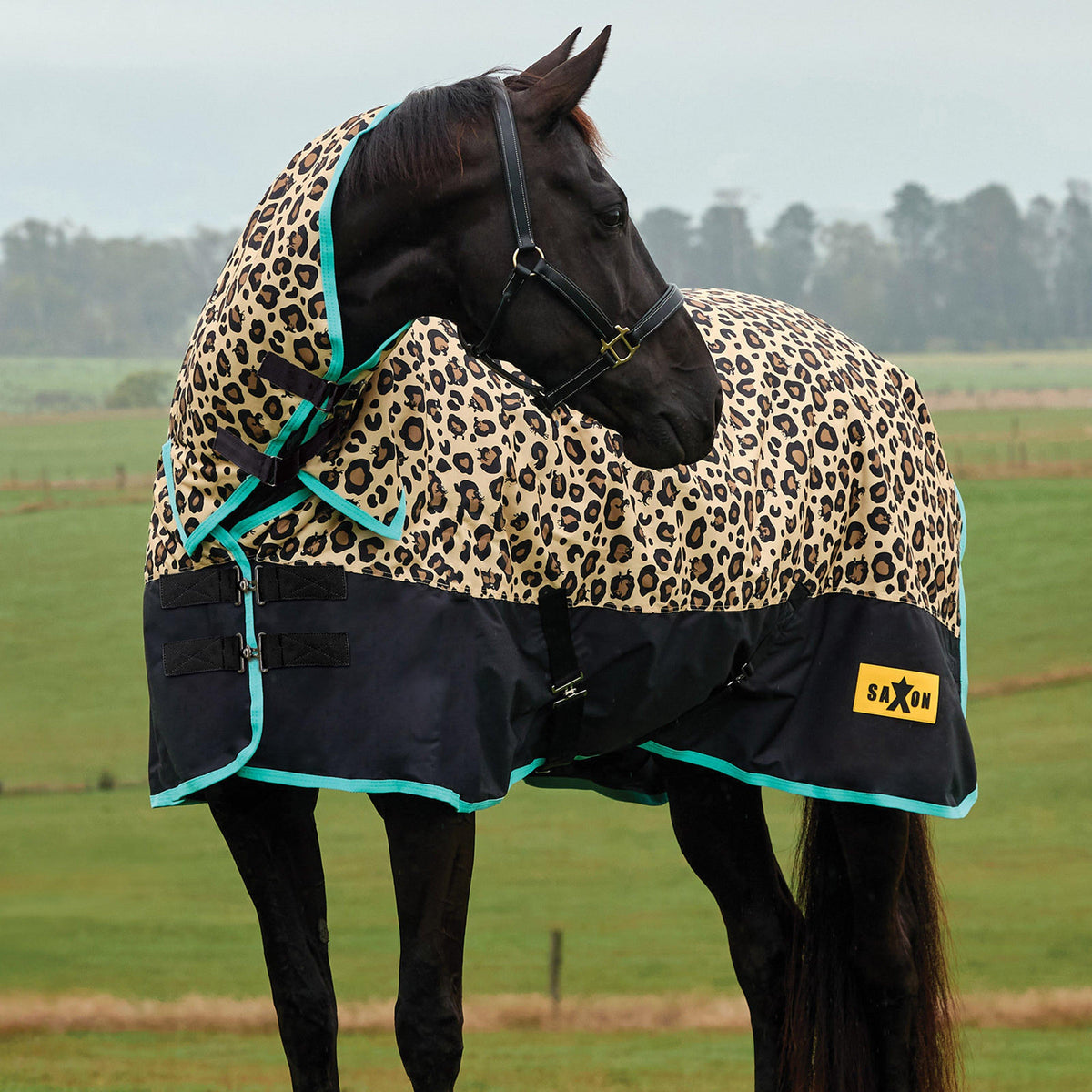 Defiant Combo Neck Stable Rug 200G