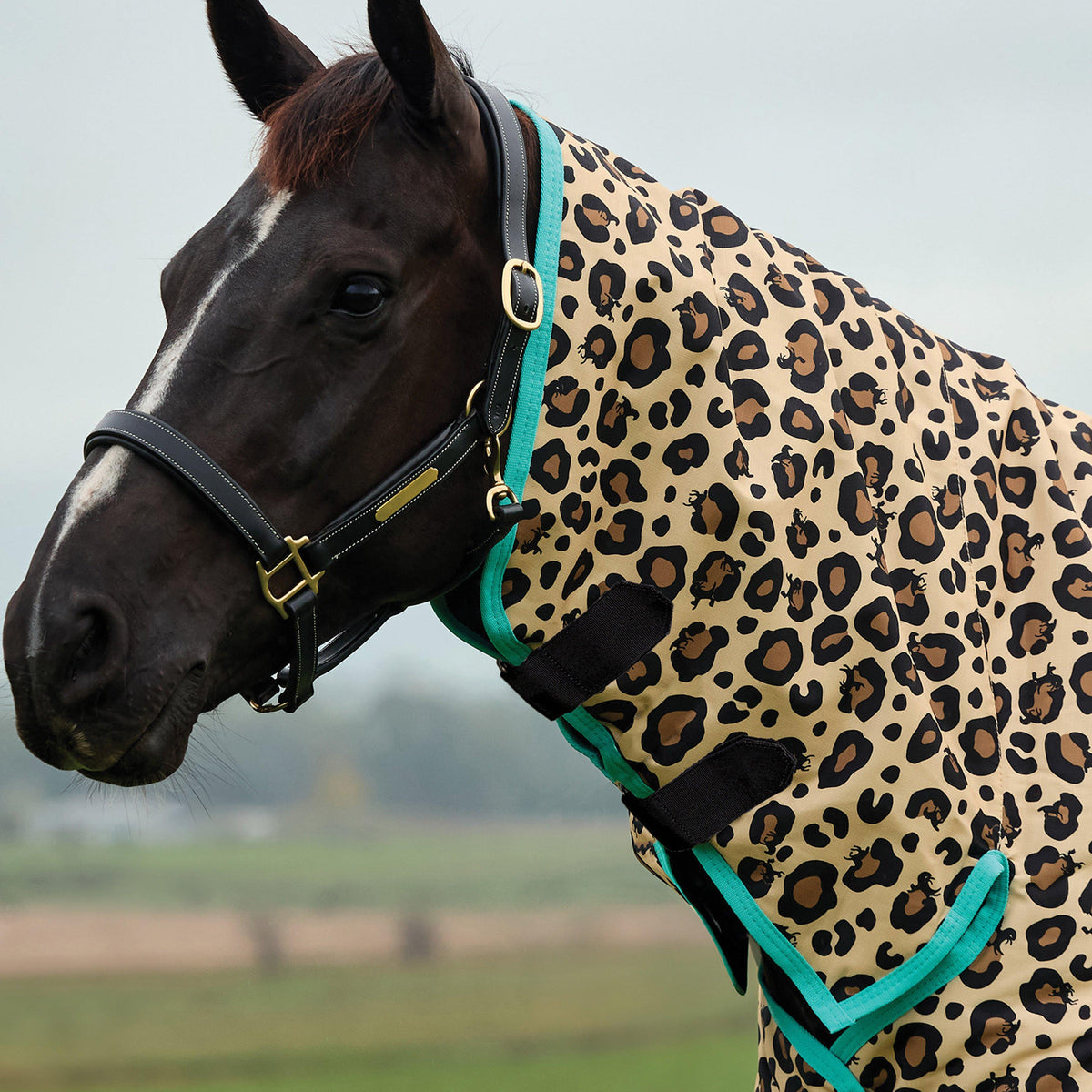 Defiant Combo Neck Stable Rug 200G