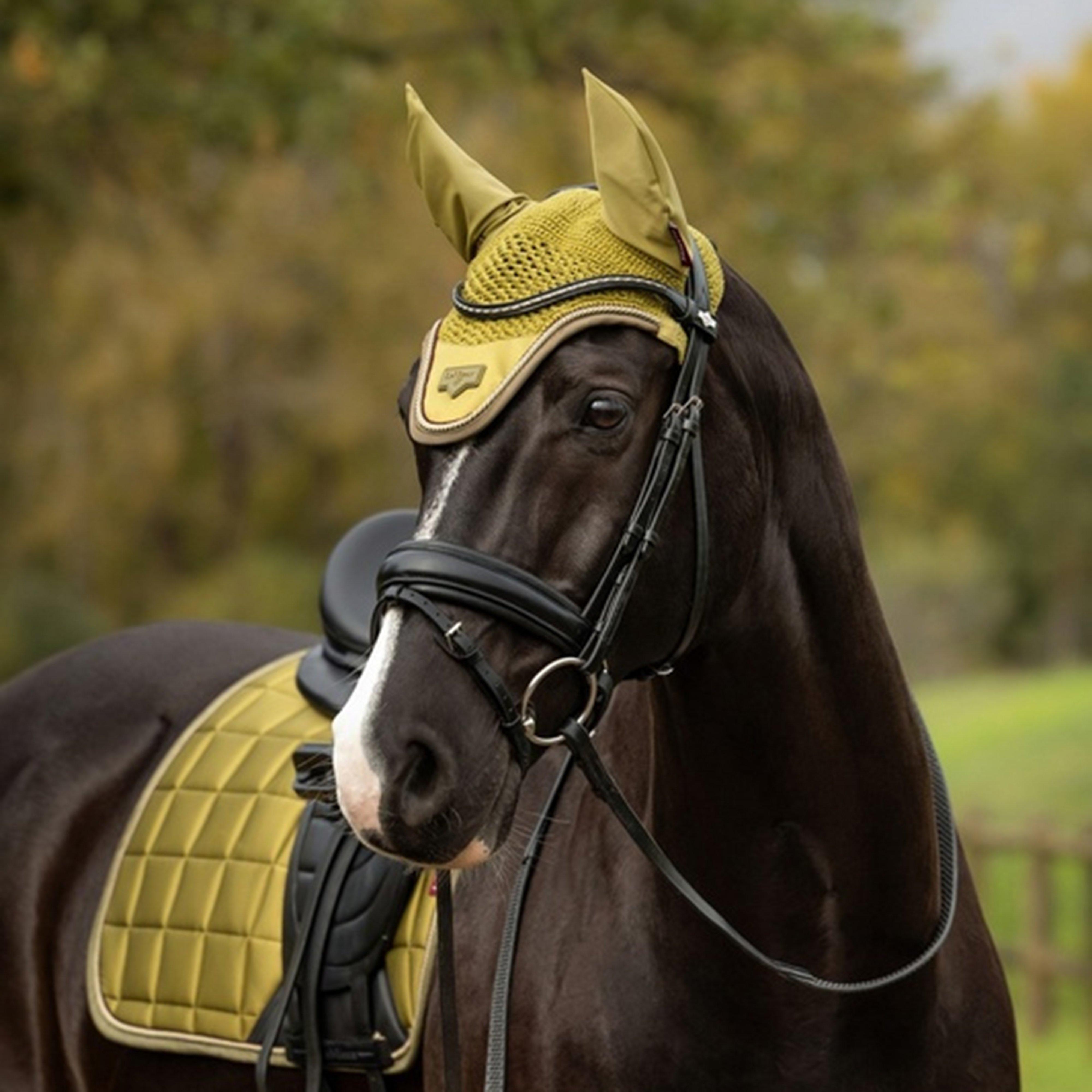 Loire Fly Hood
