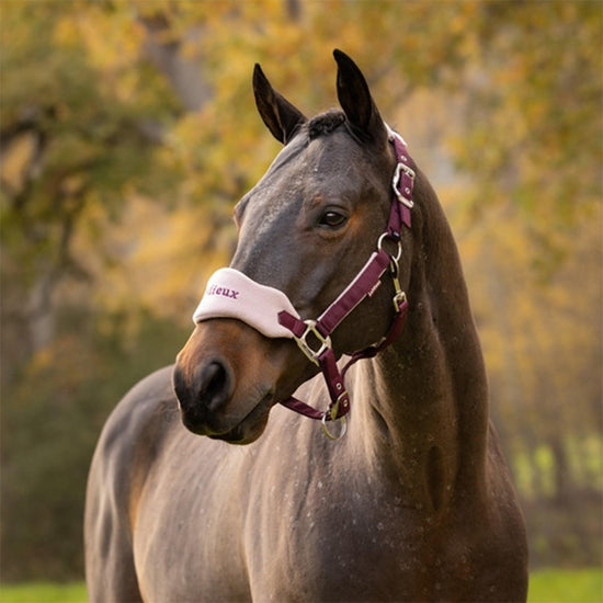 Vogue Headcollar & Leadrope Blackberry