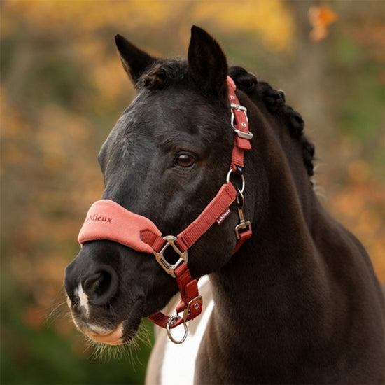 Vogue Headcollars & Leadrope Russet