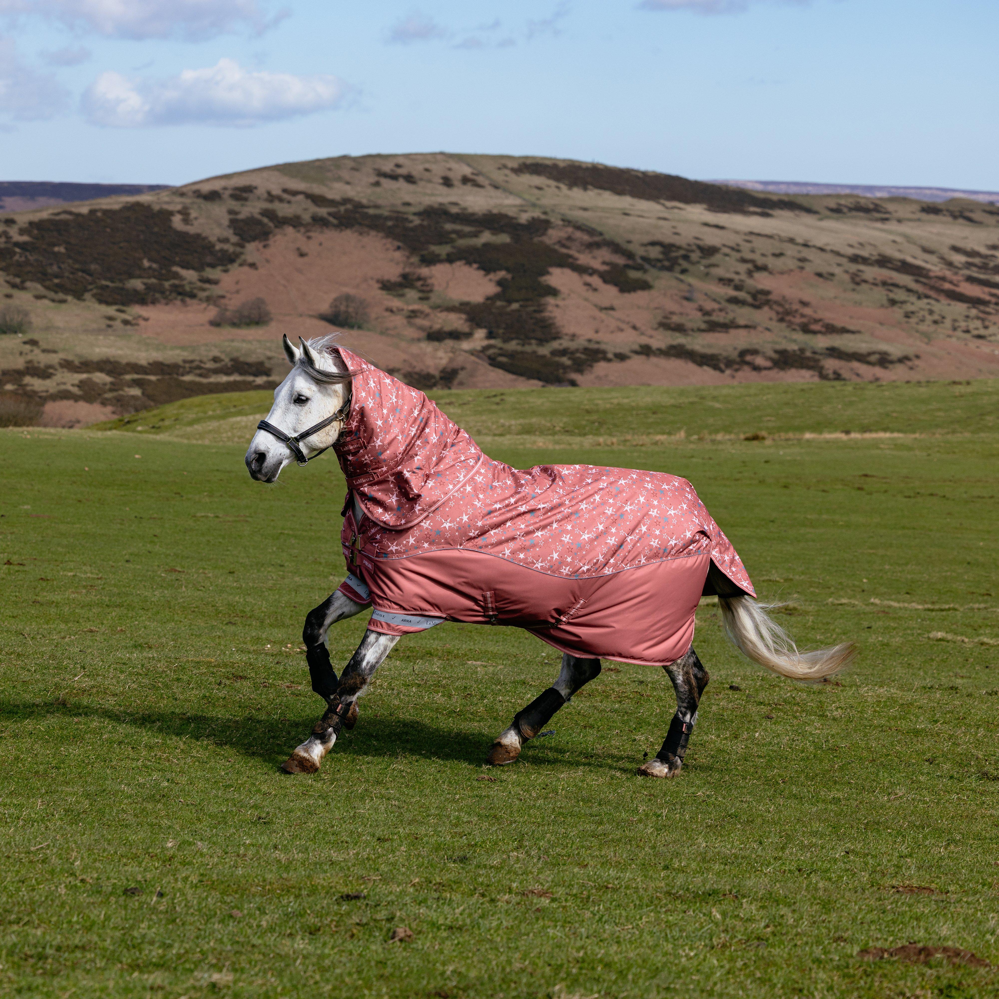 Arika Star Turnout Rug