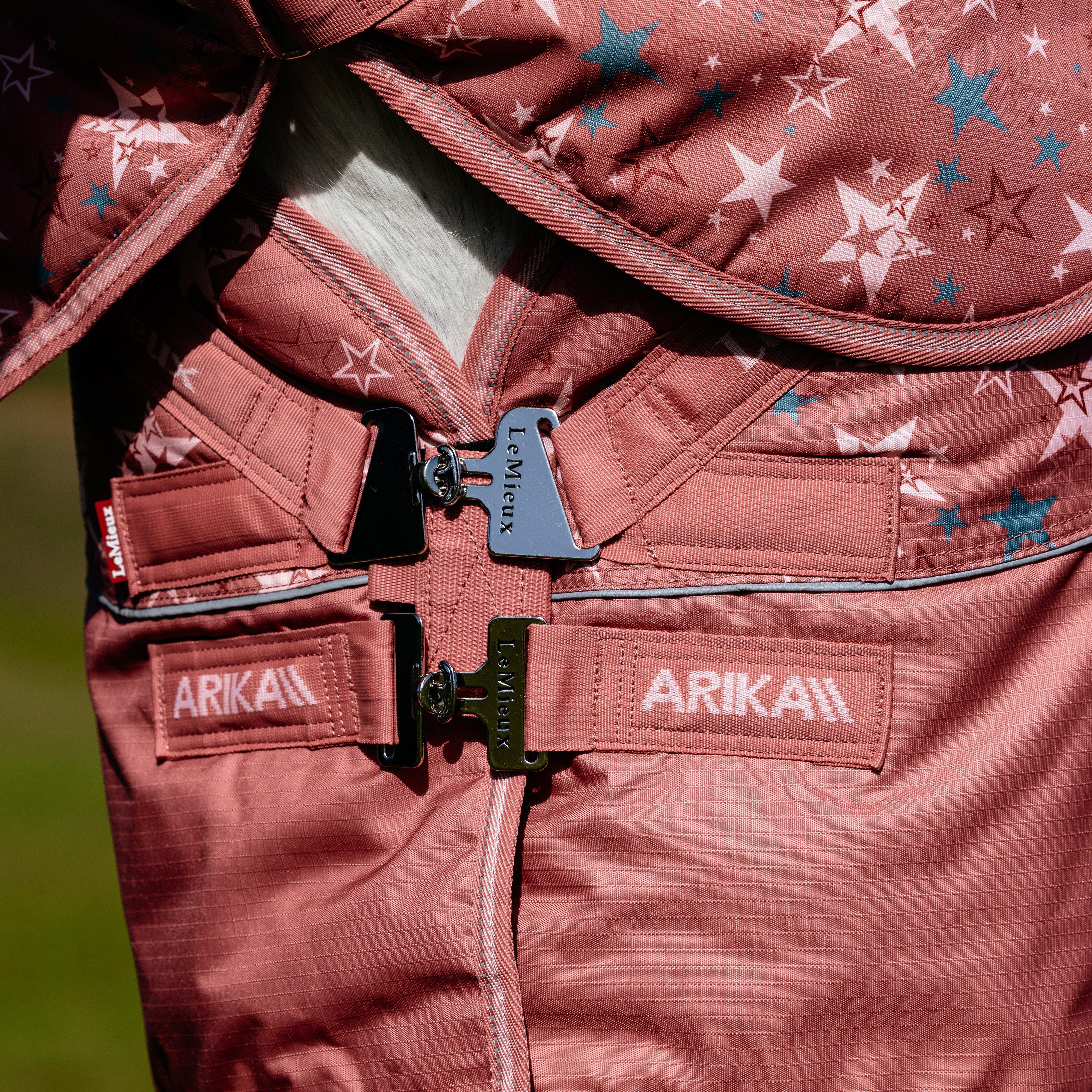 Arika Star Turnout Rug