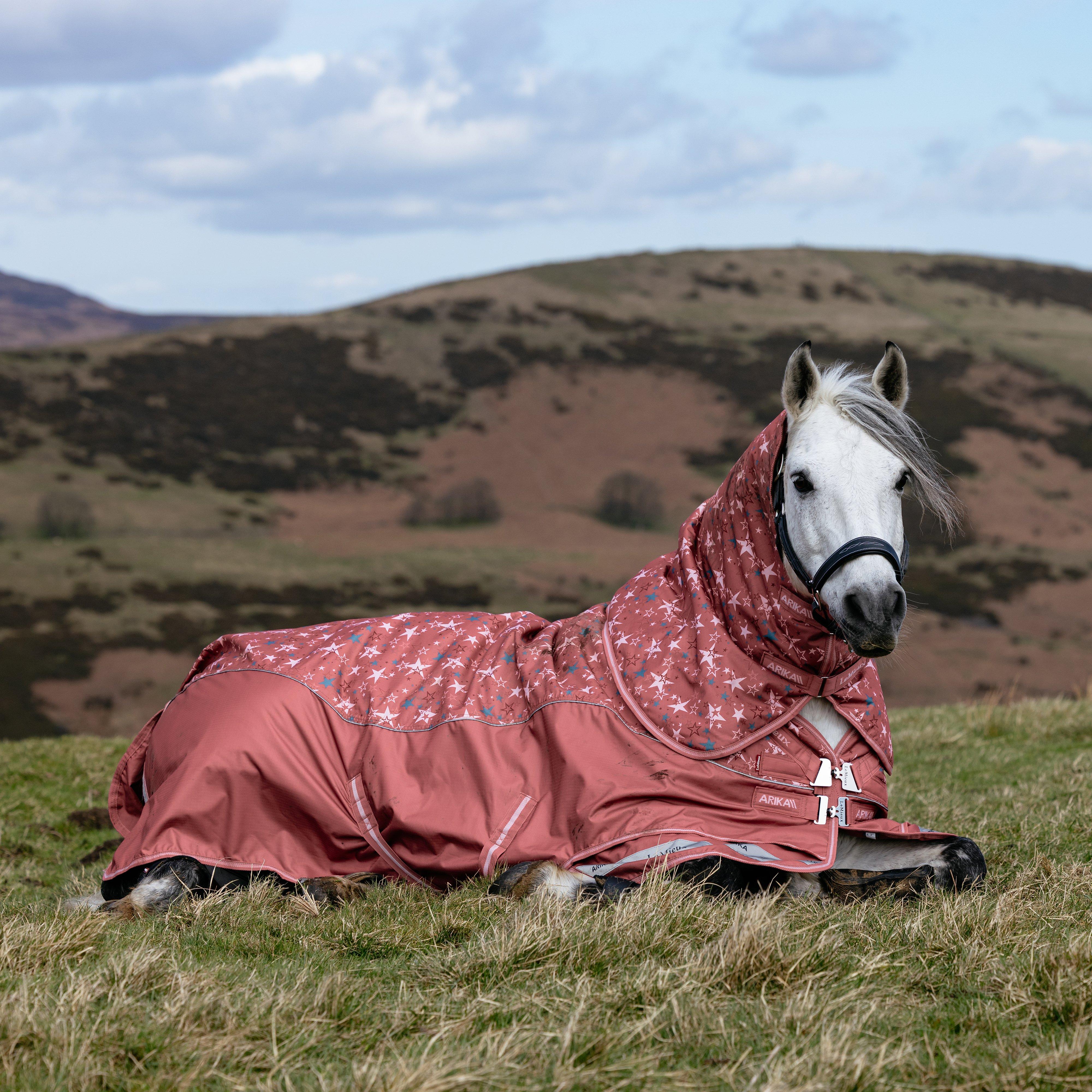 Arika Star Turnout Rug