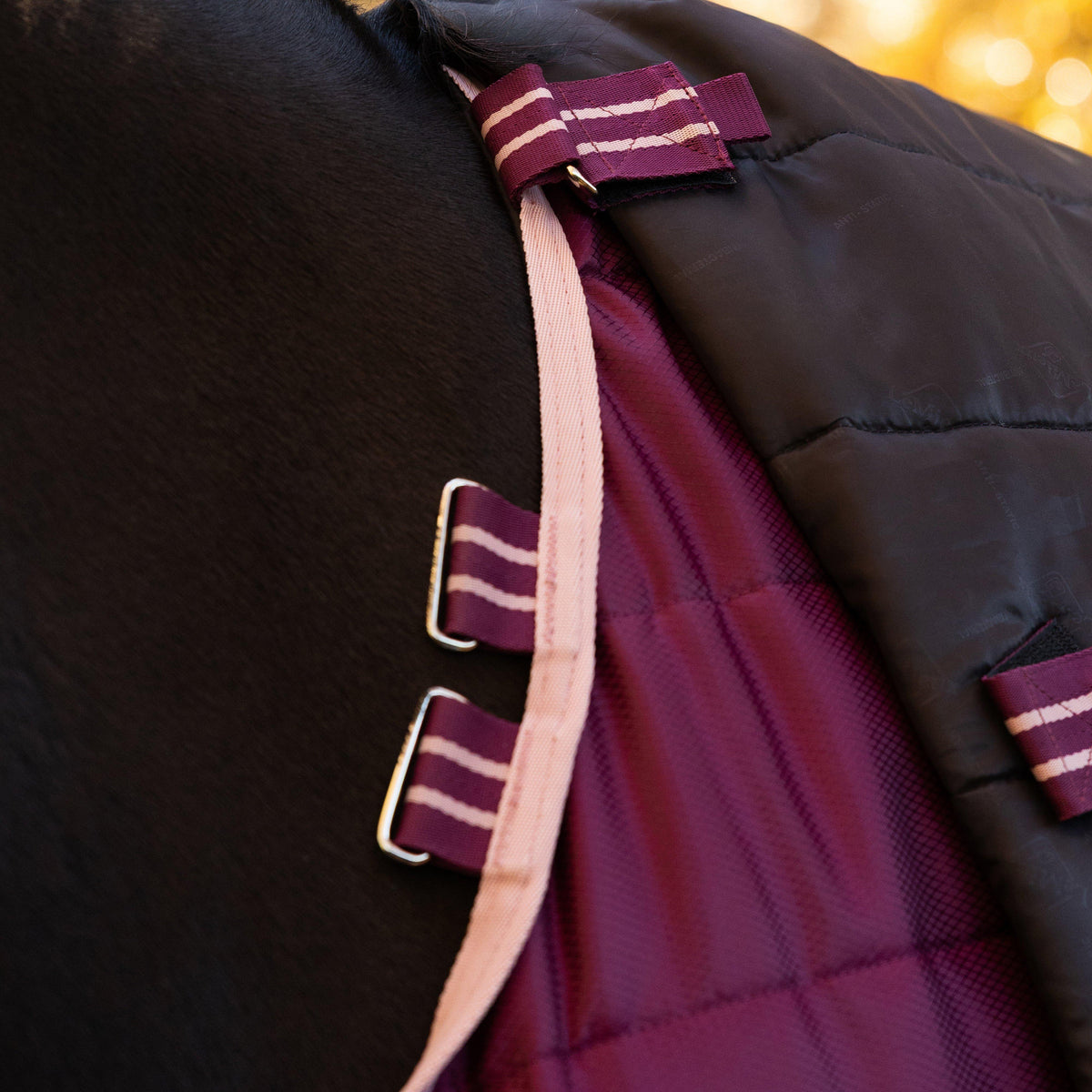 Arika Stable-Tek with Neck Cover