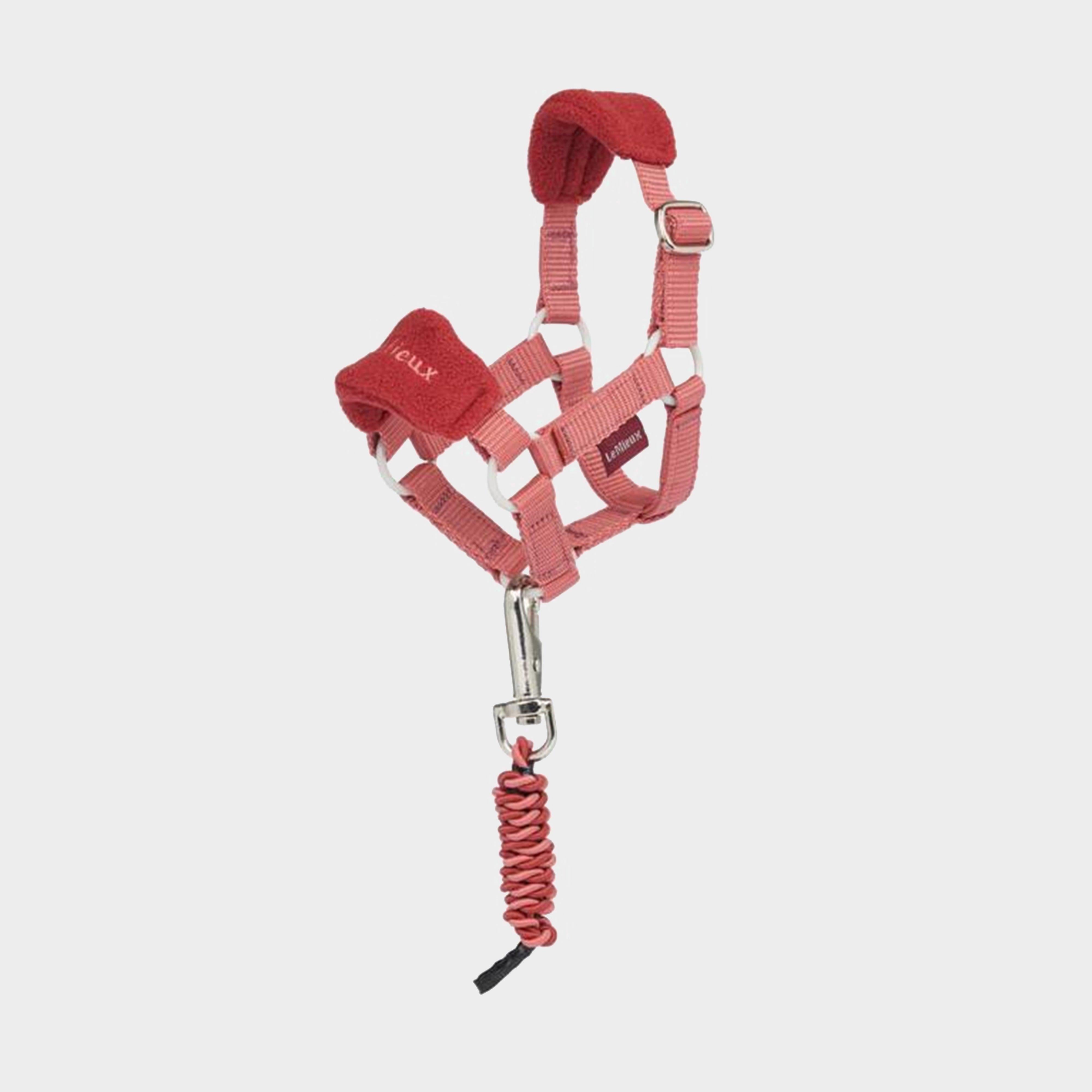 Toy Pony Vogue Headcollar & Leadrope