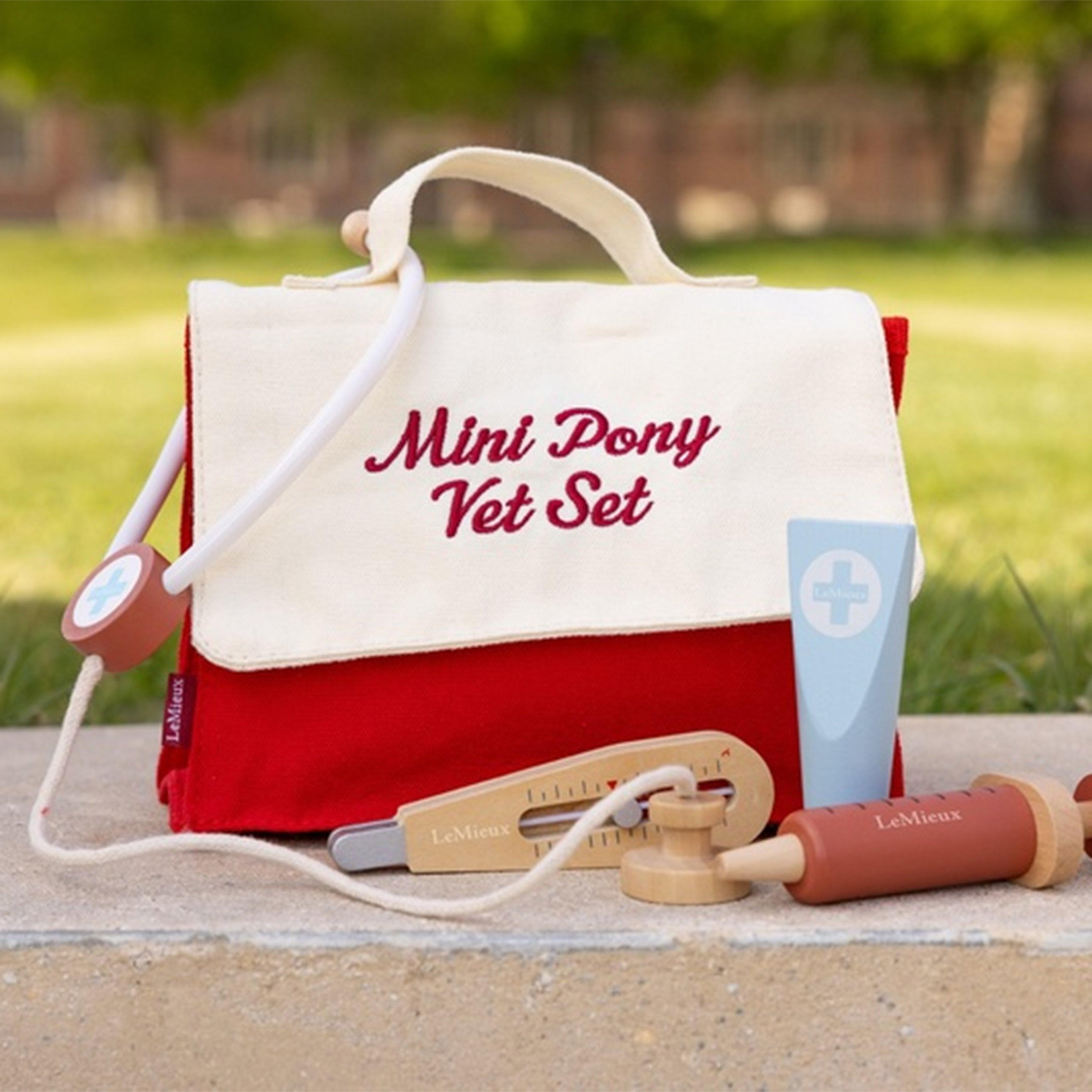 Toy Pony Vet Set