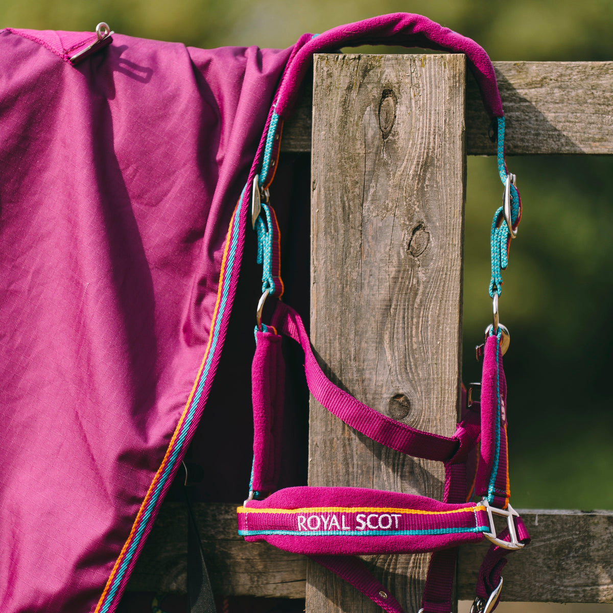 Padded Headcollar