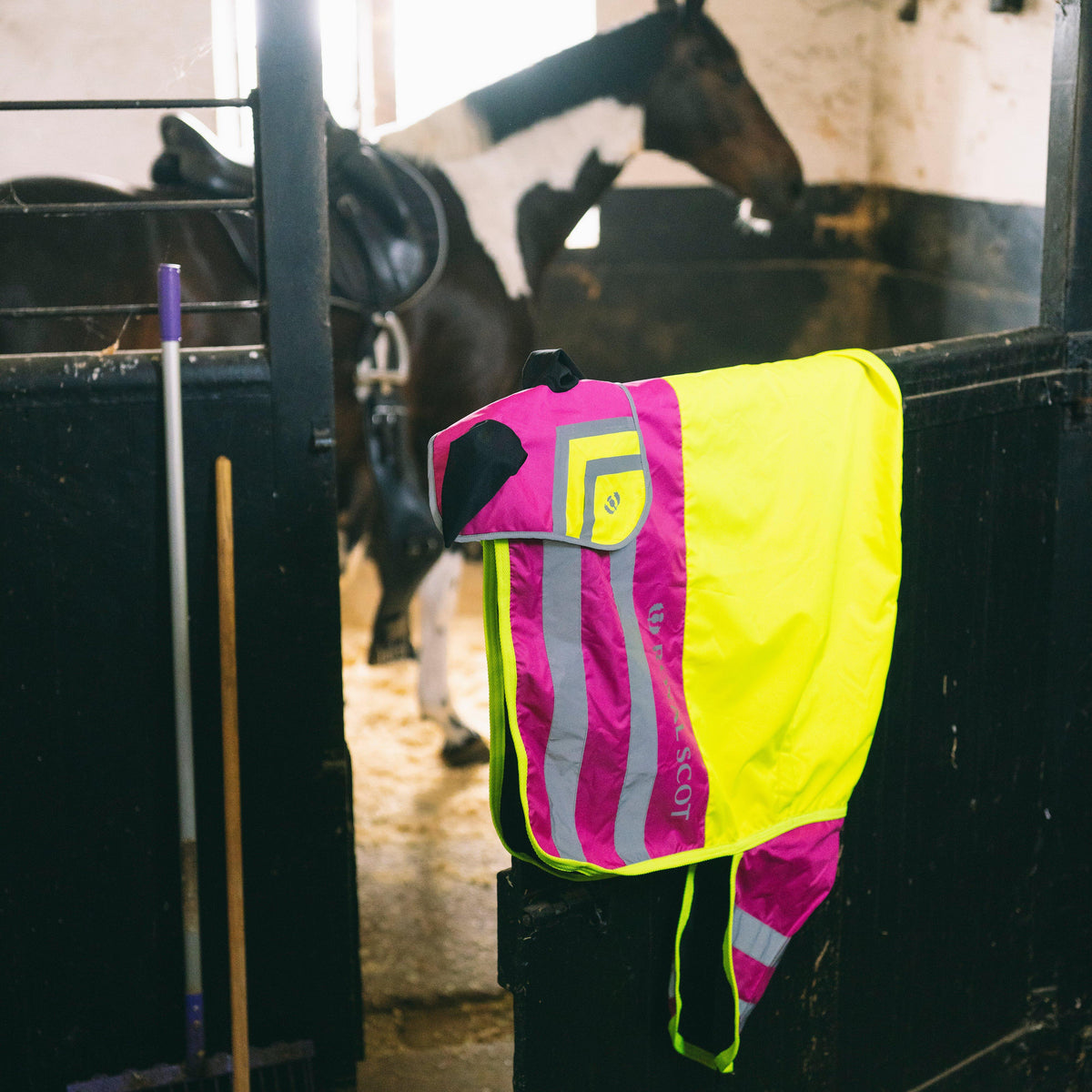 Hi-Viz Exercise Sheet
