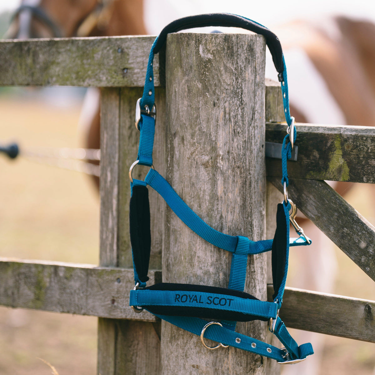 Fleece Padded Headcollar
