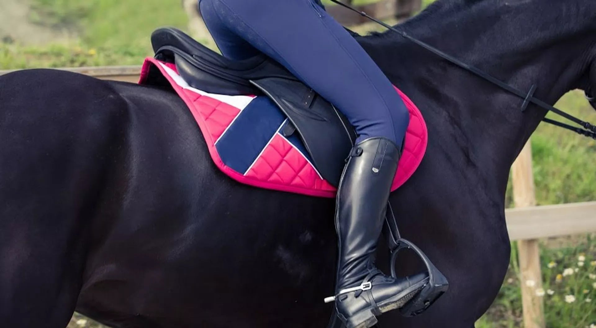 5 Of The Best Saddle Pads