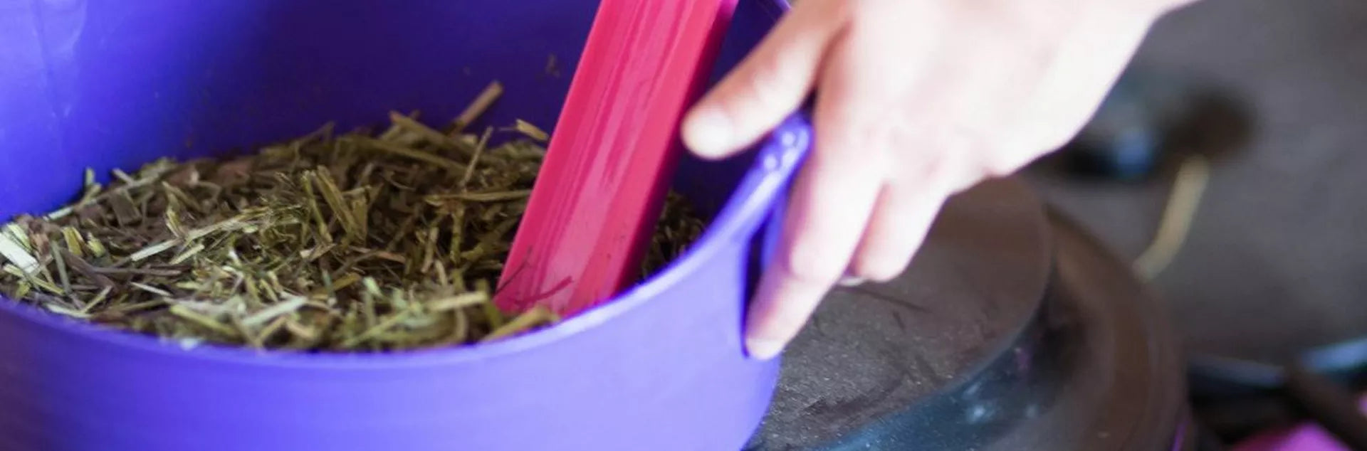 Baileys Horse Feeds – Winter Feeding