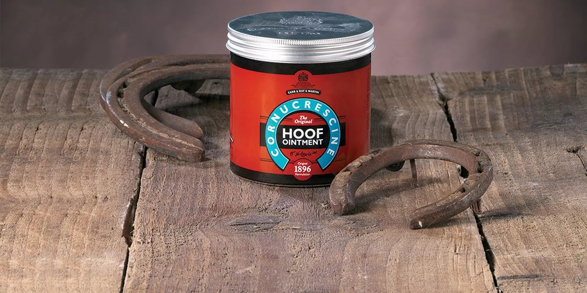 Common Horse Hoof Problems – Our Guide