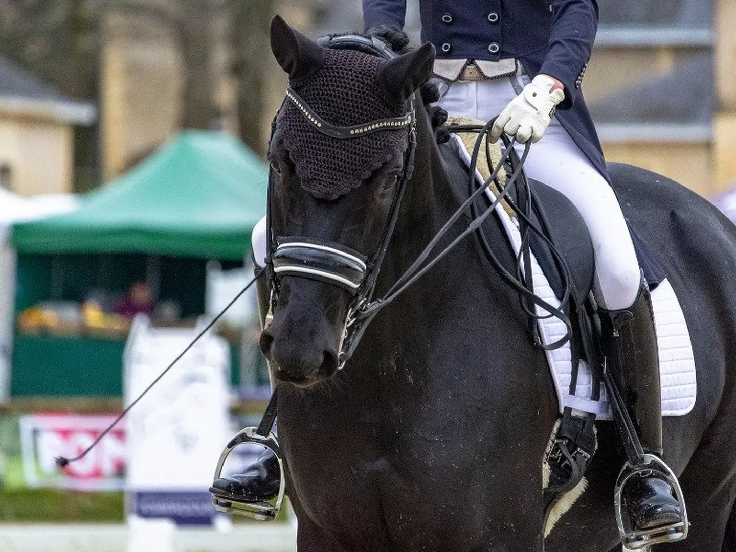 Dressage Competition Ready Part 2 – Your Horse