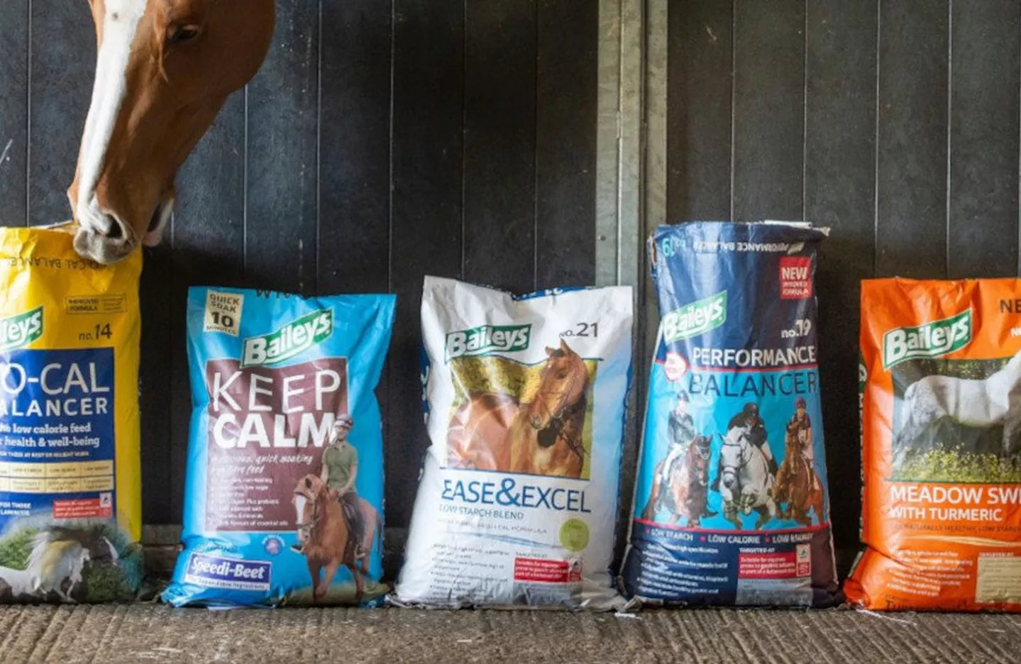 BETA EGUS Certification – Equine Gastric Ulcer Syndrome