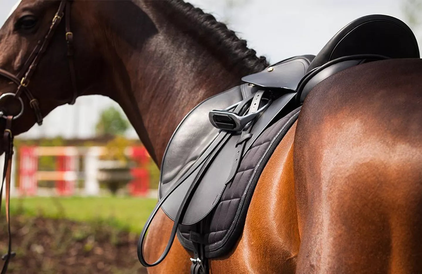 aking the Reins: What to Wear for Your First Horse Riding Lesson