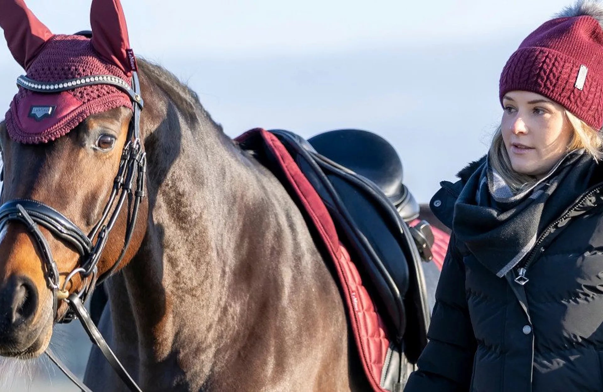 Gifts For Horse Lovers – Christmas, Covered!