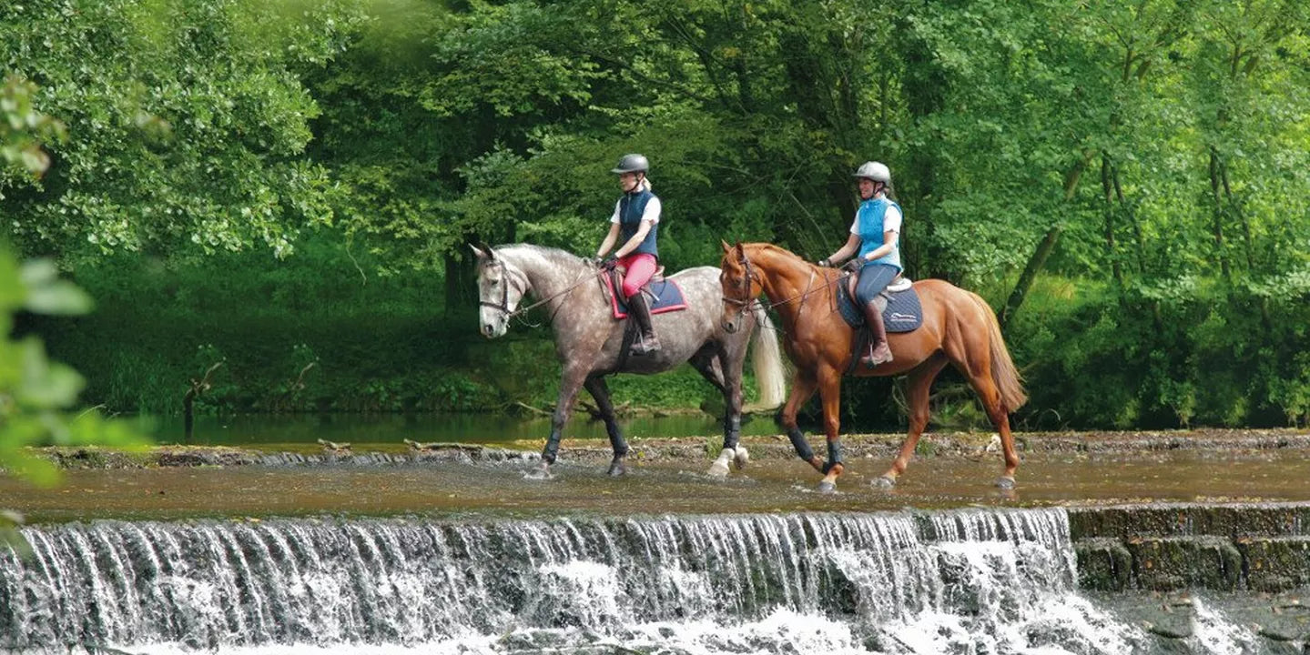 Horse Riding – Just How Good Is Horse Riding For Our Health?