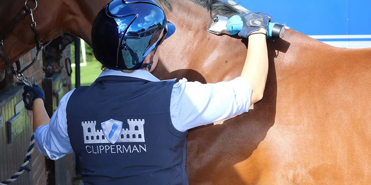 Horse Clipping – Which Clip Is Right For Your Horse