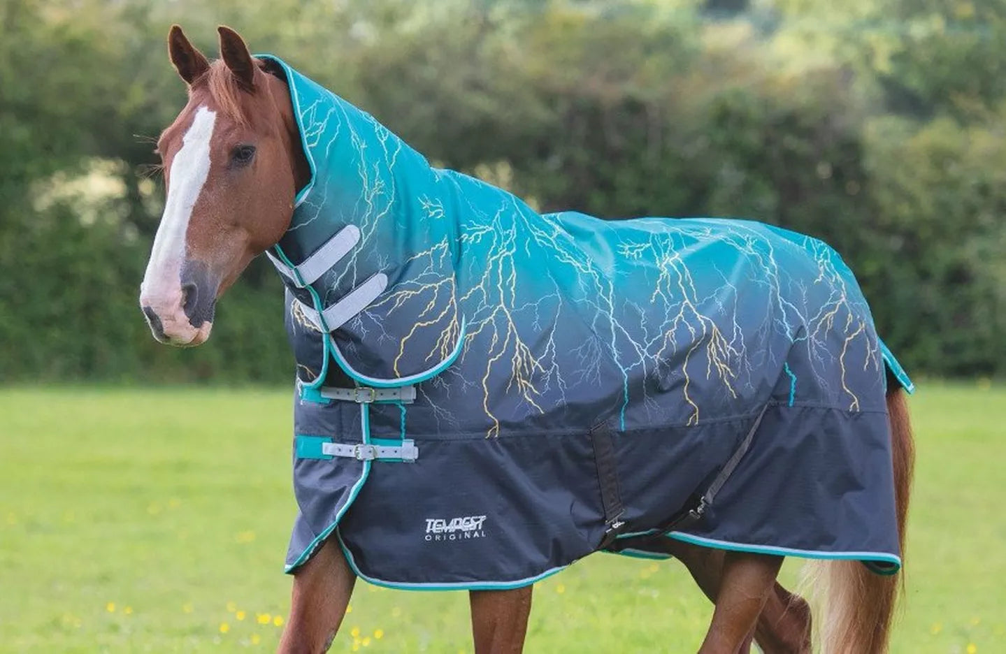 Horse Rugging The Winter Edit – Your Questions Answered