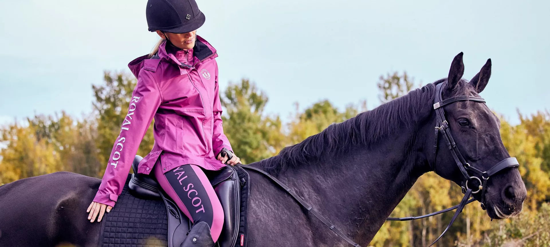 Introducing Royal Scot