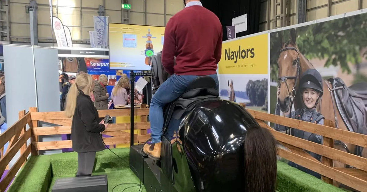 The Benefits Of Our Horse-Riding Simulator For Rehabilitation – Could ...