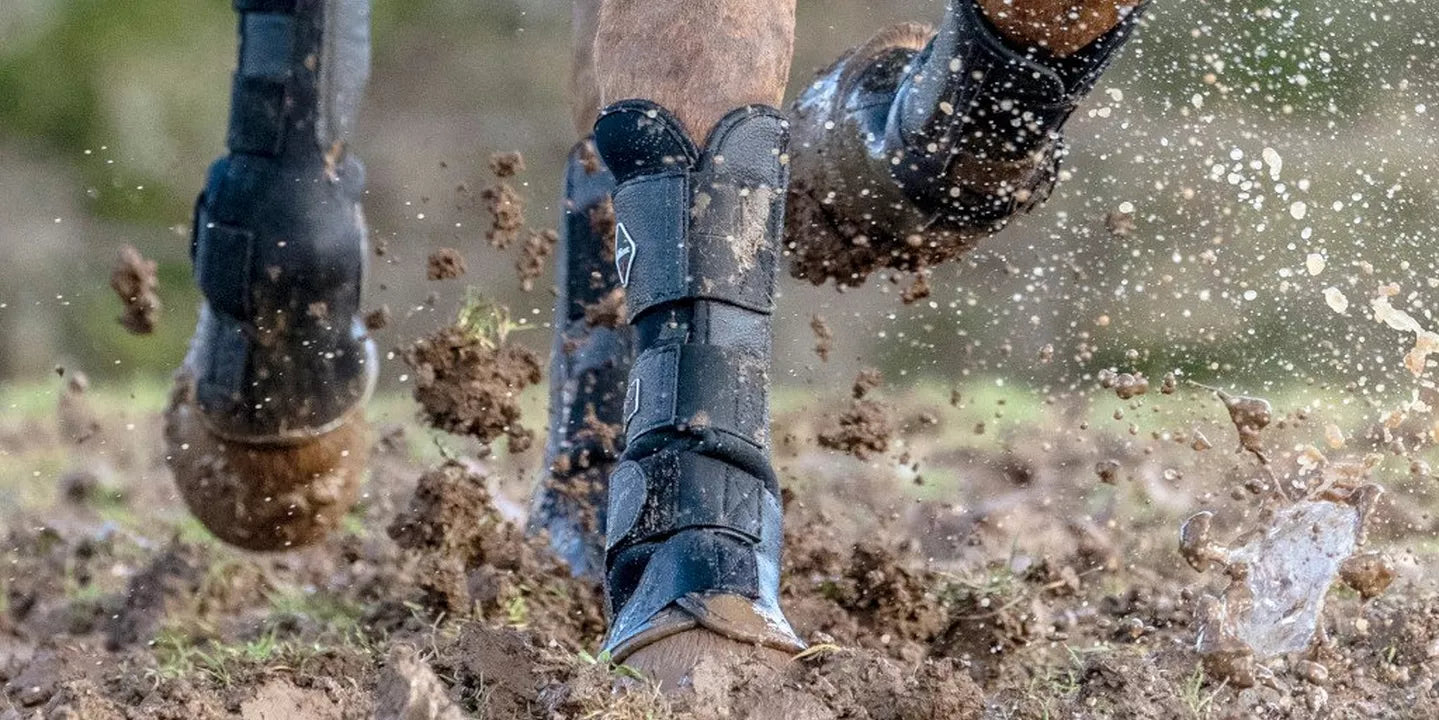 Mud Fever – Your Questions Answered