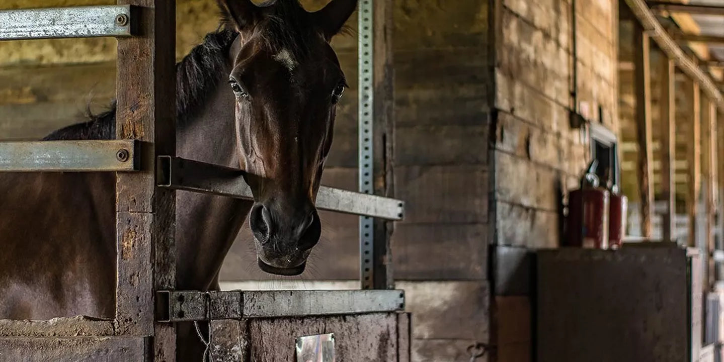 Shires Stable and Yard Supplies