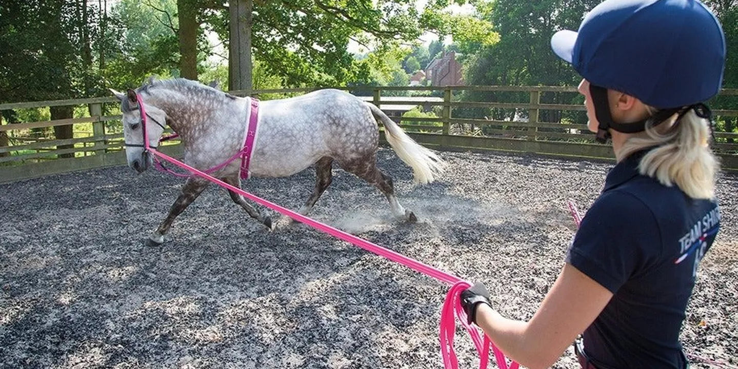 Side Reins – The Truth About Training Aids