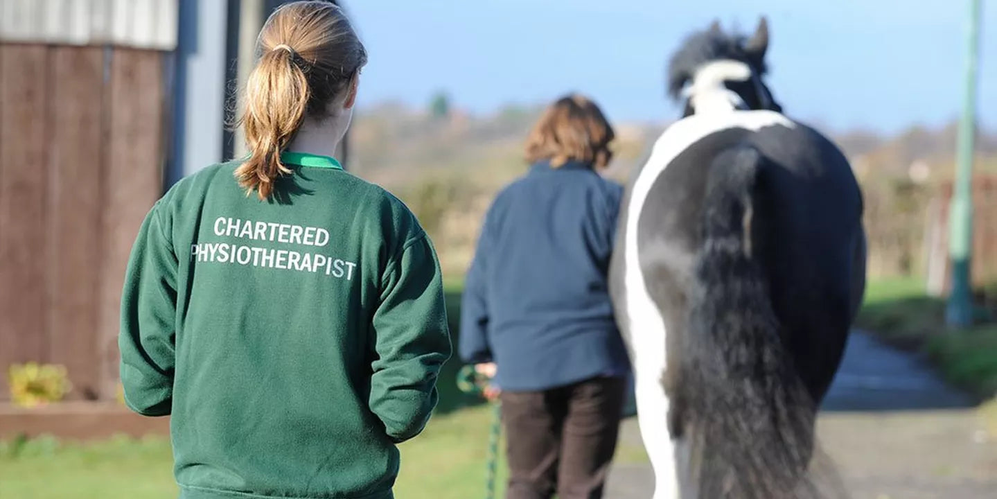 Interested in Working in the Equine Industry?