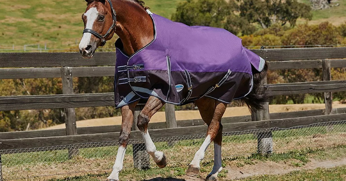 WeatherBeeta Rugs Buying Guide – Naylors