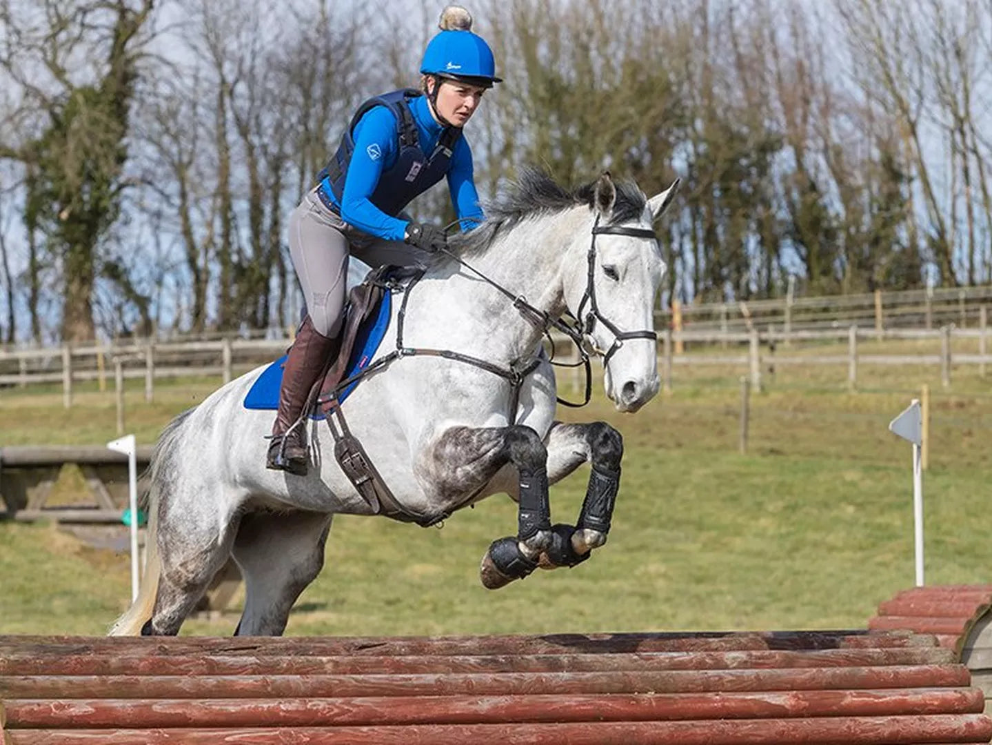 Choosing a Bit for your Horse